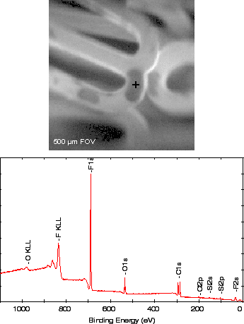 Biomedical Surface Analysis（冠動脈ステント表面のSXIとマイクロXPSスペクトル）