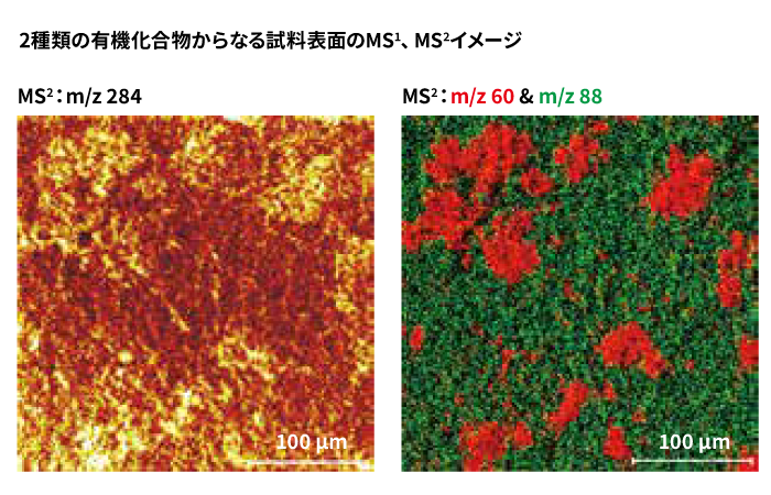 2種類の有機化合物からなる試料表面のMS¹・MS²イメージ